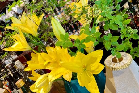 11/28 明日29日金曜は通常営業